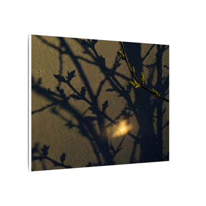 Bold Shadow Play Canvas Art - Moody Minimal Dark Japandi