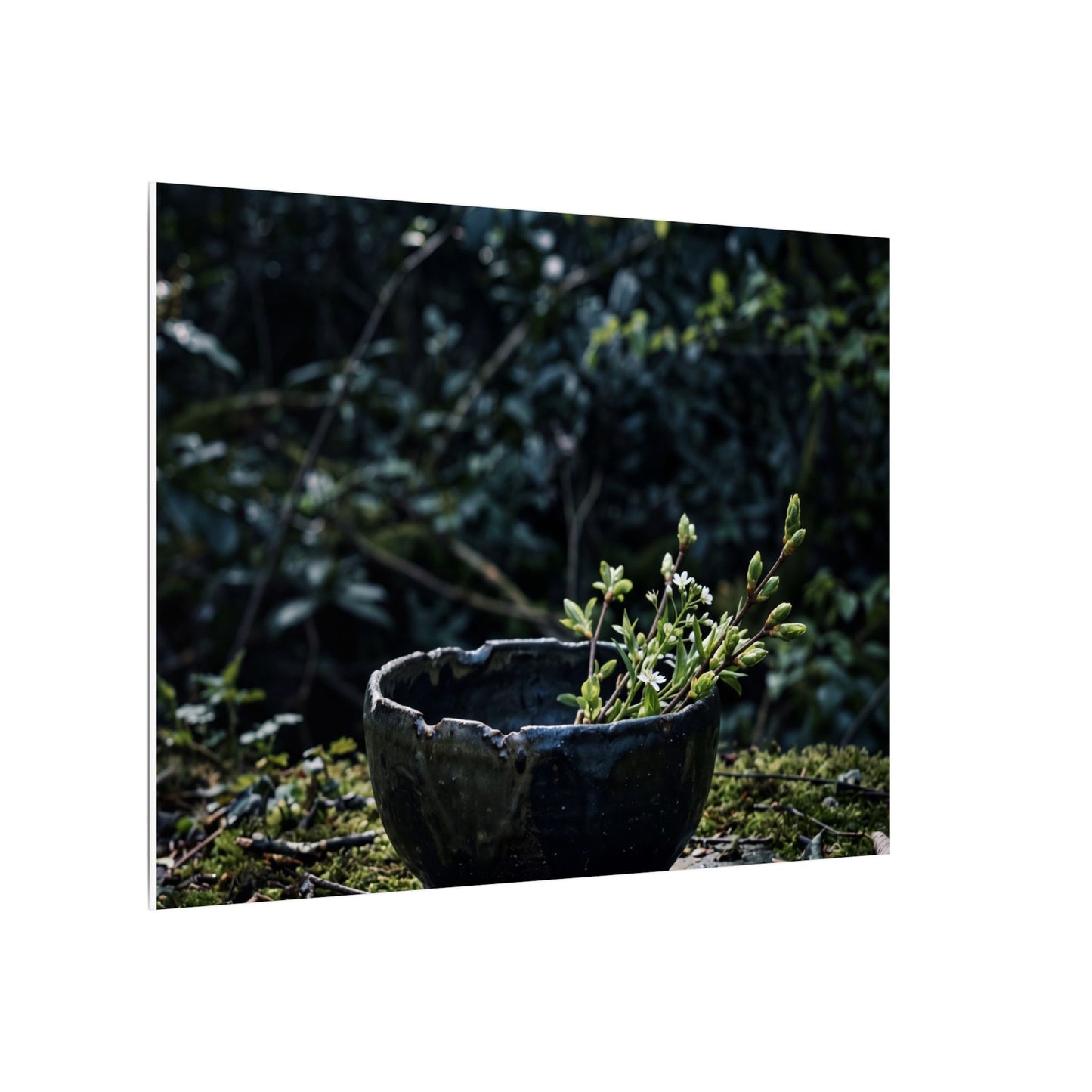 Dappled Ceramic Bowl Canvas Art - Dark Japandi Datsuzoku