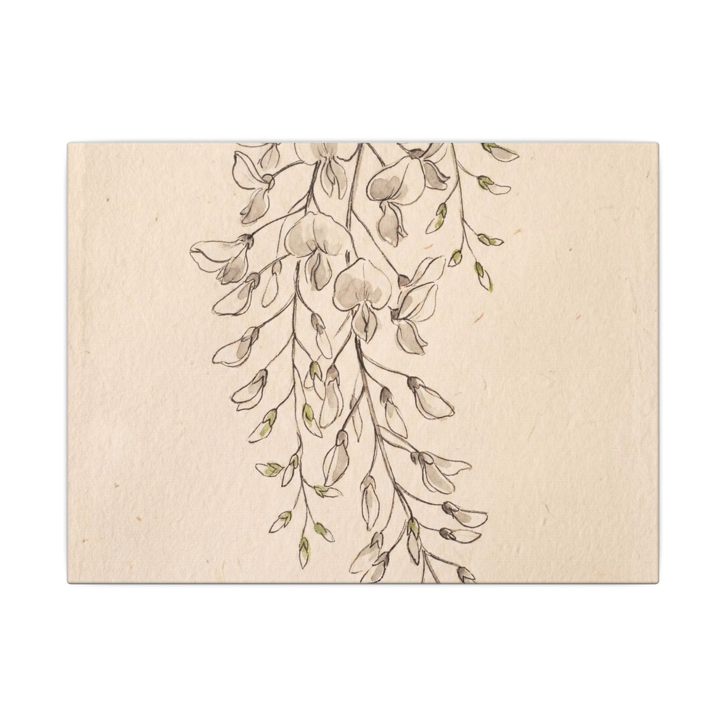 Japandi Wisteria in Golden Hour | Minimal Line Canvas Art Art Print