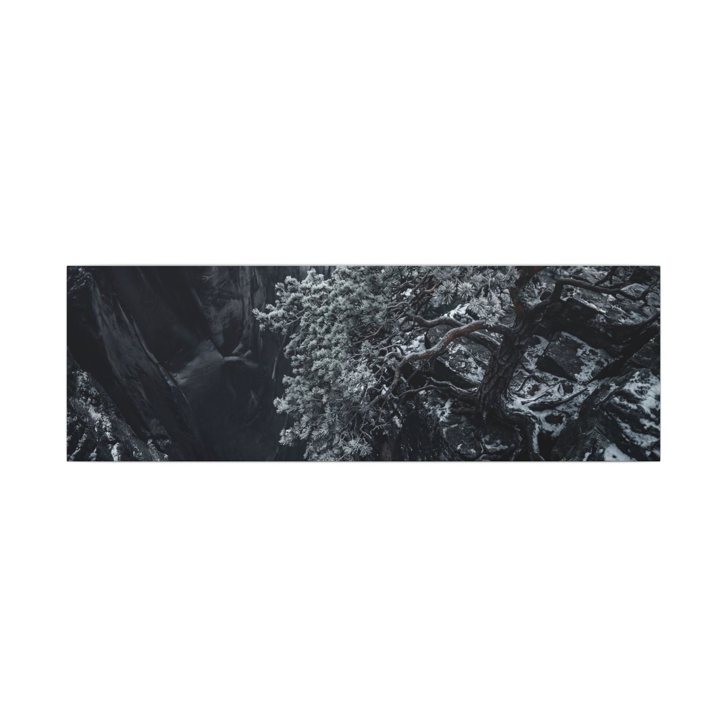 Dark Japandi Pine Tree in Dappled | Dark Texture Canvas Art