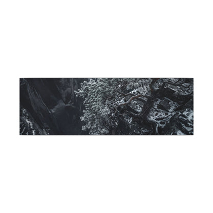Dark Japandi Pine Tree in Dappled | Dark Texture Canvas Art