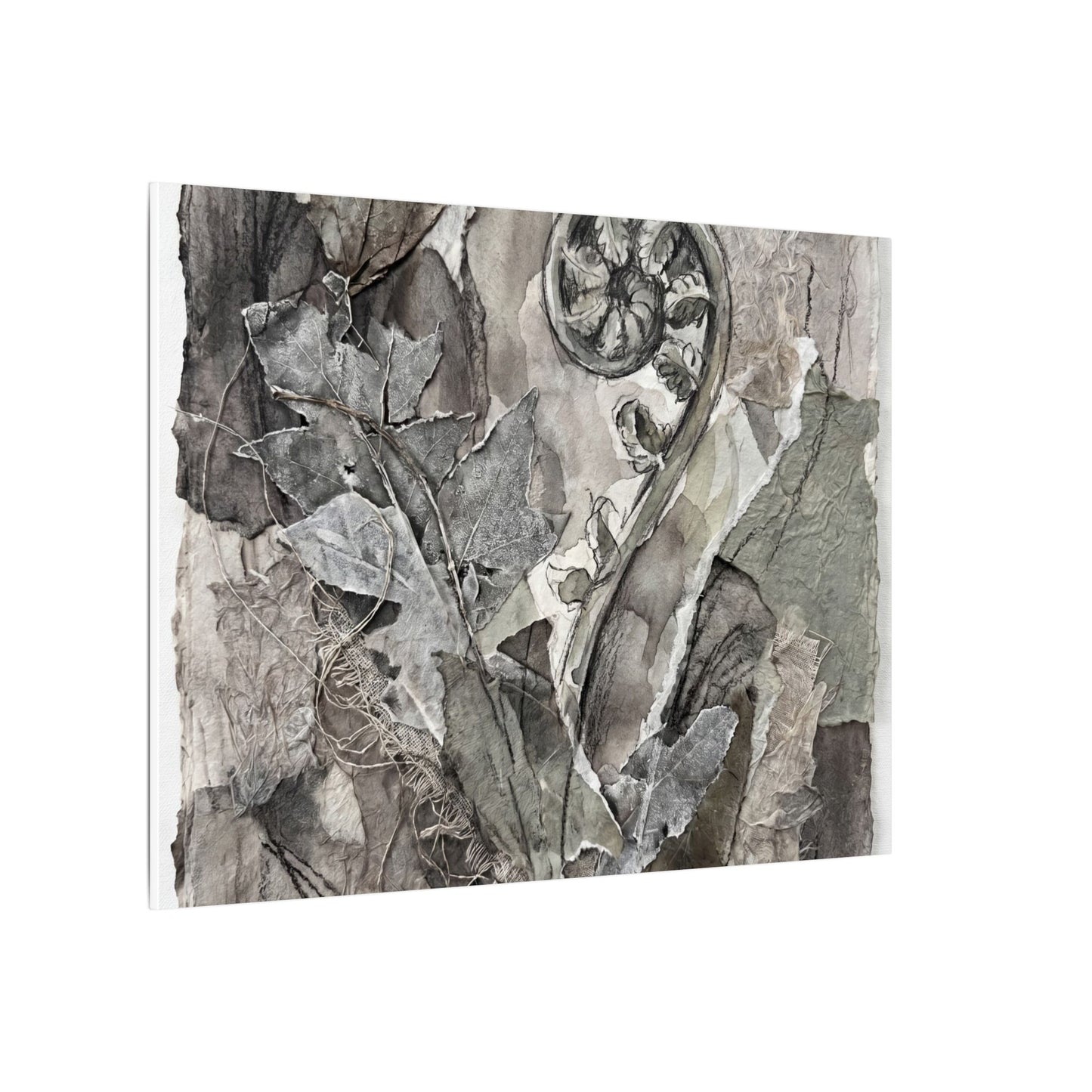 Japandi Fern Unfurling in Overcast | Texture Canvas Art