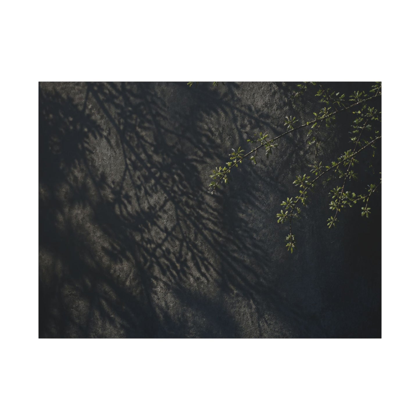Overcast Shadow Play Canvas Art - Dark Japandi Seijaku