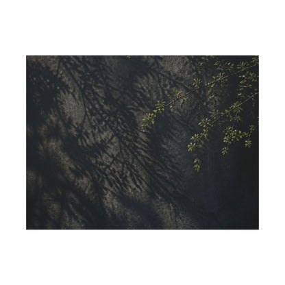 Overcast Shadow Play Canvas Art - Dark Japandi Seijaku