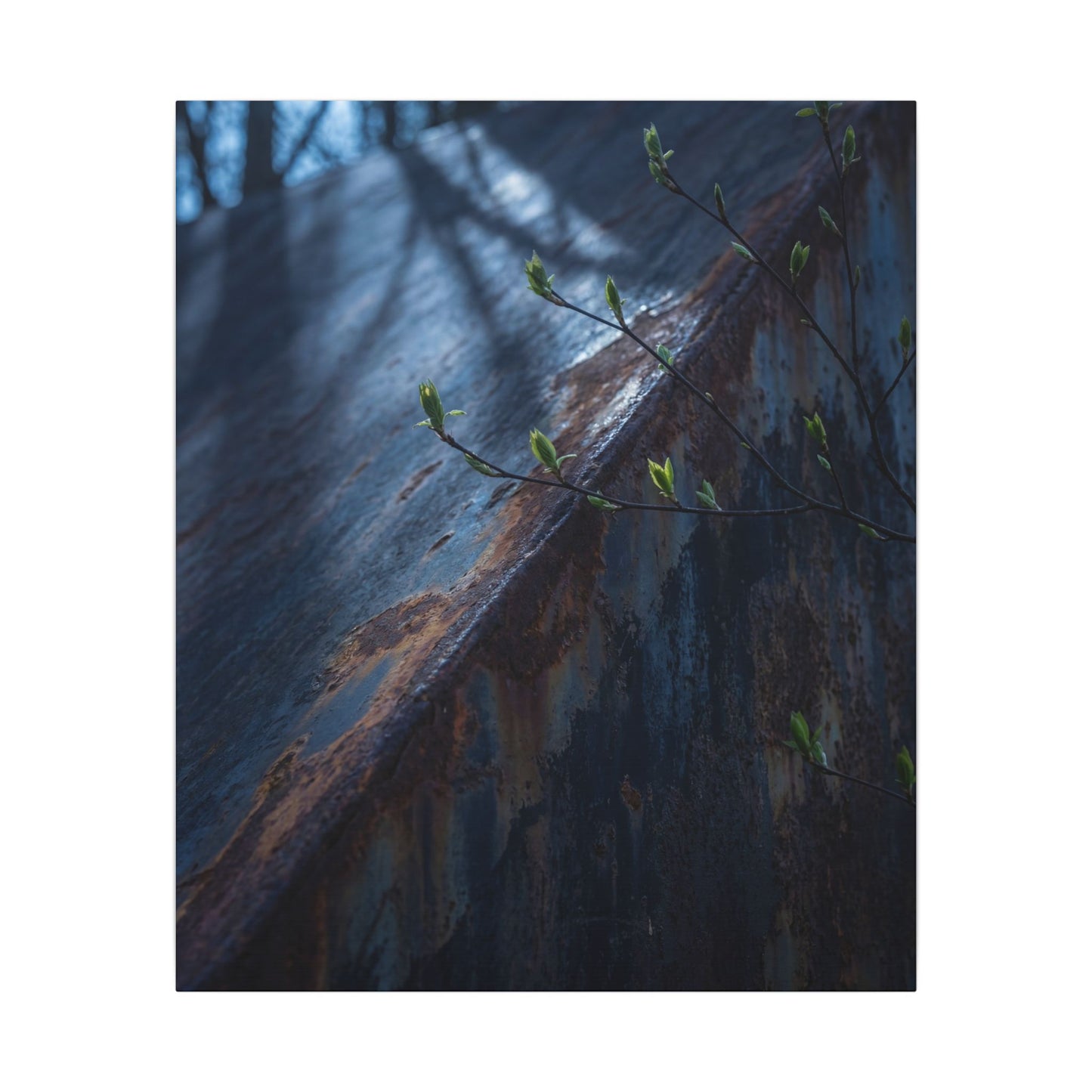 Rust Patina Canvas Art | Spring Dark Japandi Shadow Zen Art