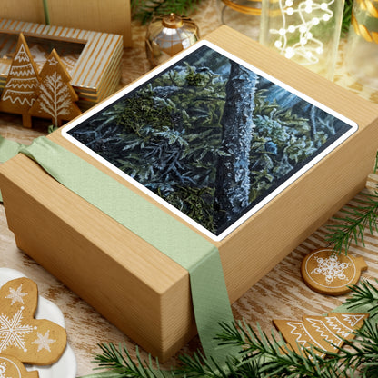 Moss Close Up Dark Texture Sticker | Luxurious Dark Japandi Art