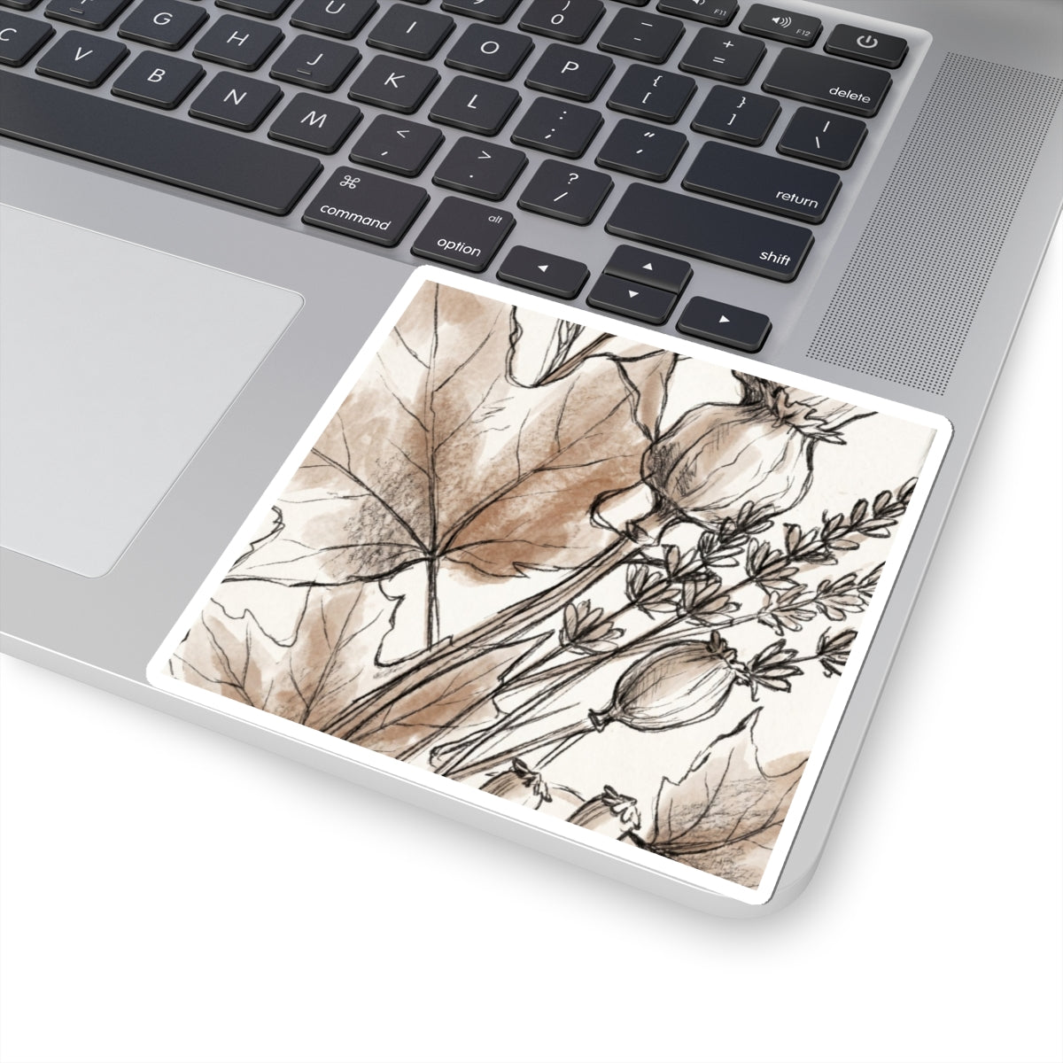 Autumn Dried Flowers Minimal Line Sticker | Elegant Decor