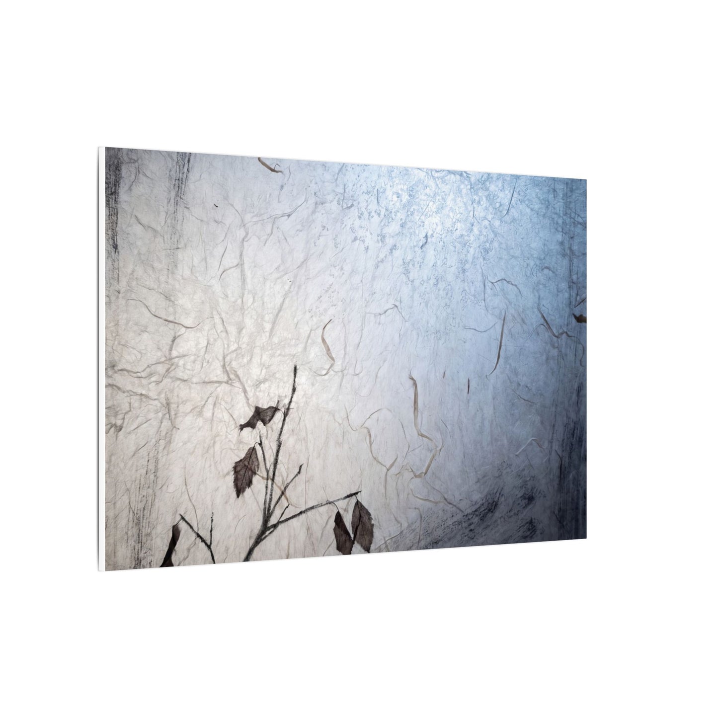 Moonlight Shoji Screen Canvas Art - Japandi Shibui