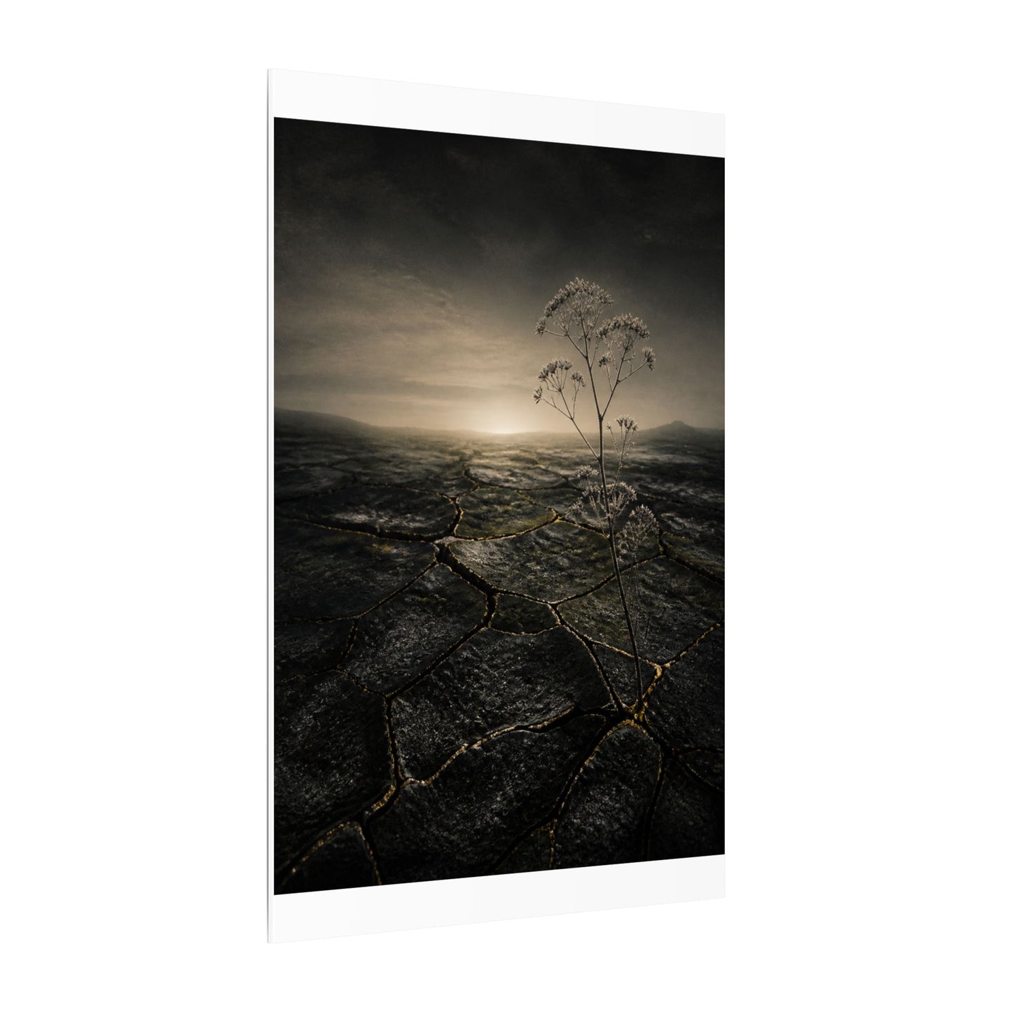 Dawn Cracked Earth Canvas Art - Dark Japandi Mono No Aware