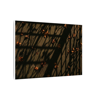 Dark Japandi Shadow Play in Golden Hour | Moody Minimal Canvas Art