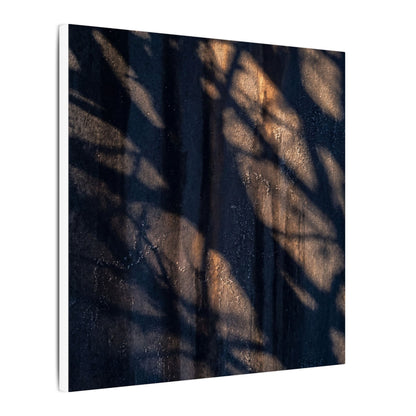 Dark Japandi Shadow Play in Golden Hour | Shadow Zen Canvas Art