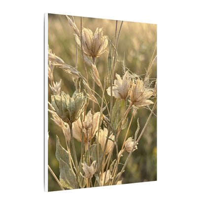 Summer Dried Flowers Minimal Line Canvas Art | Cozy Decor