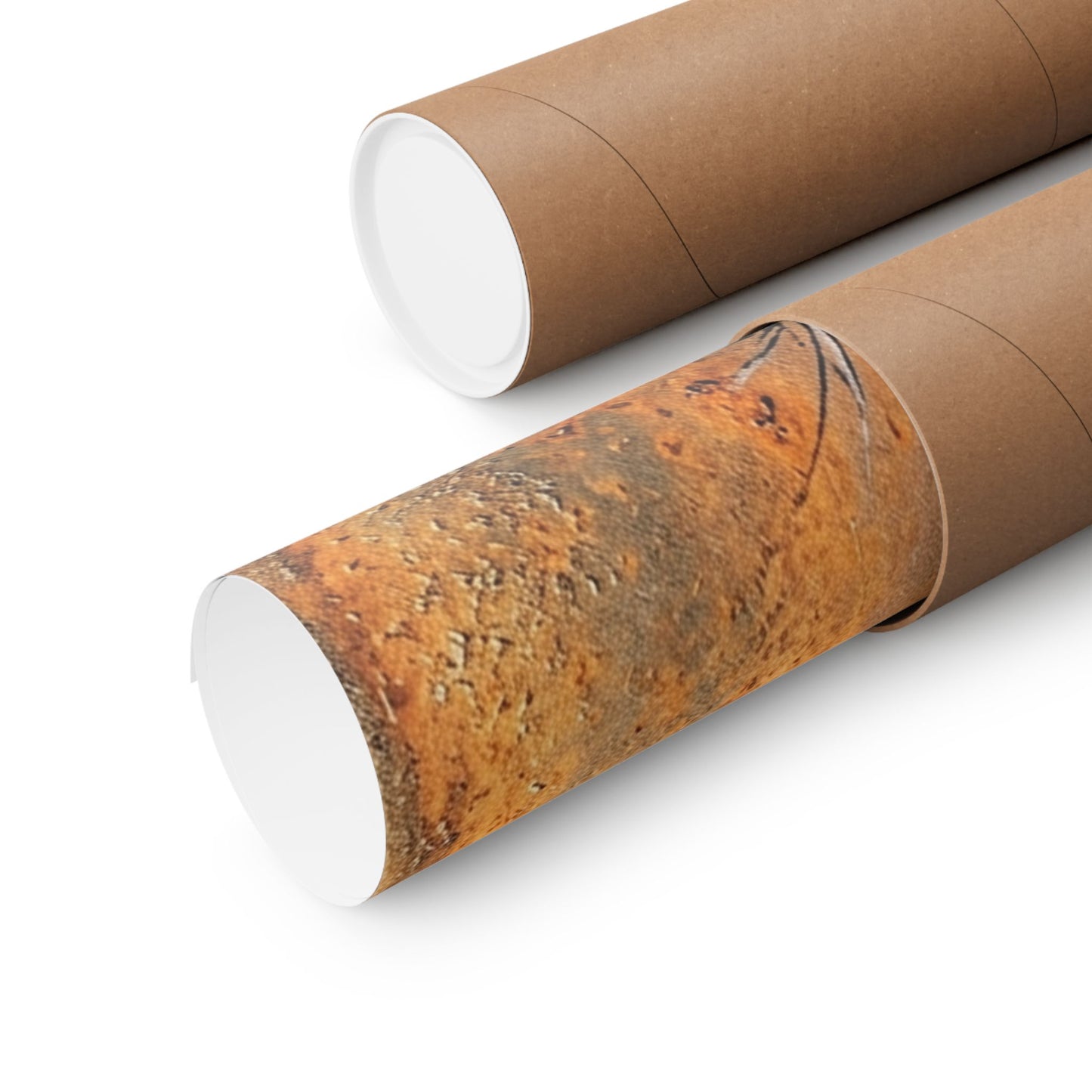 Datsuzoku Rust Patina Wall Art Print - Zen Sumi E