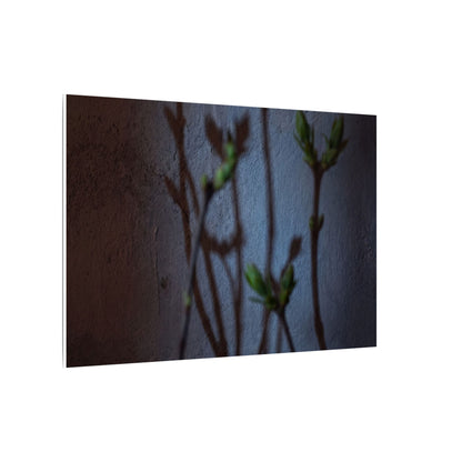 Shadow Play Spring Canvas Art | Dark Japandi Sophisticated Design