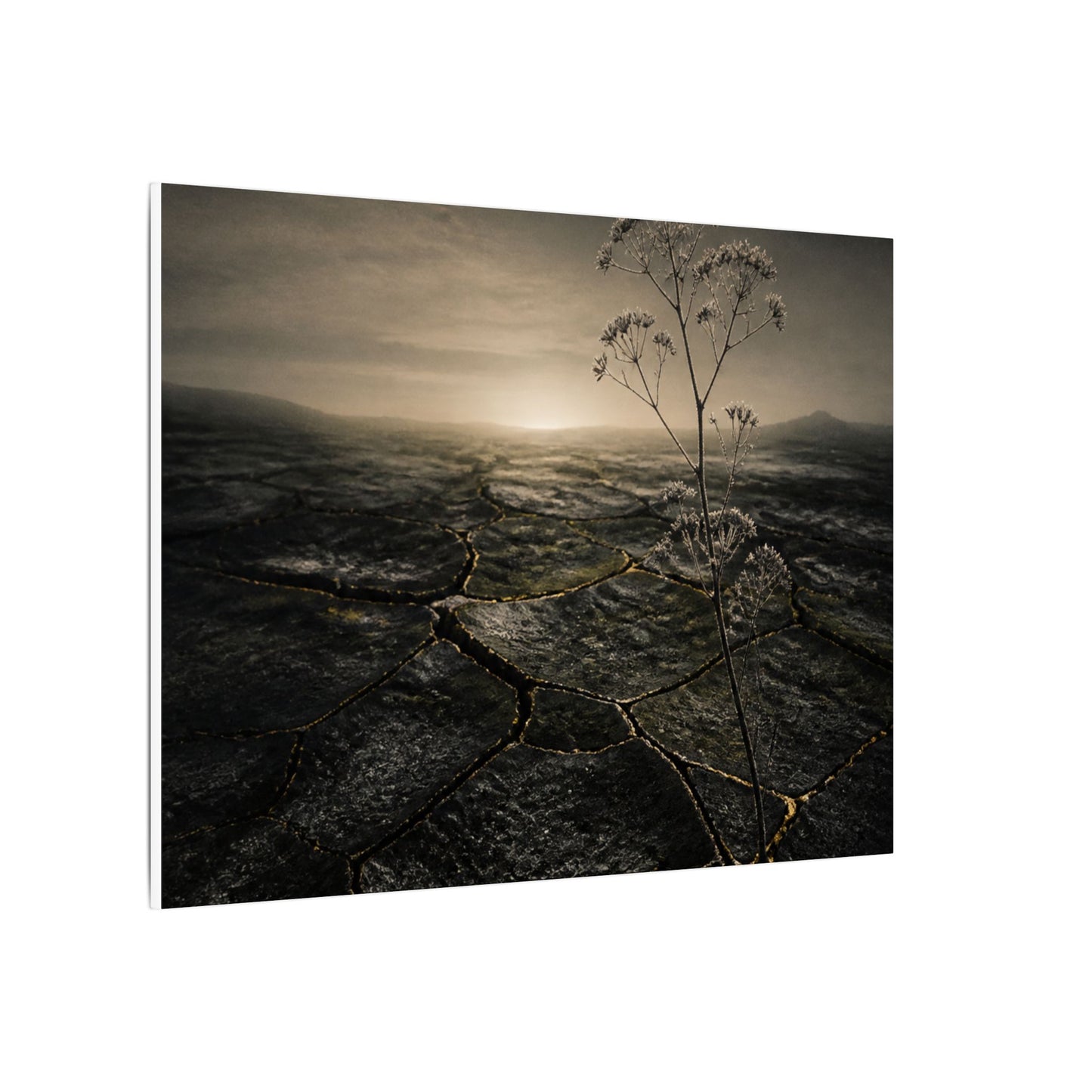 Dawn Cracked Earth Canvas Art - Dark Japandi Mono No Aware