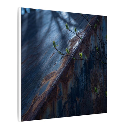 Rust Patina Canvas Art | Spring Dark Japandi Shadow Zen Art