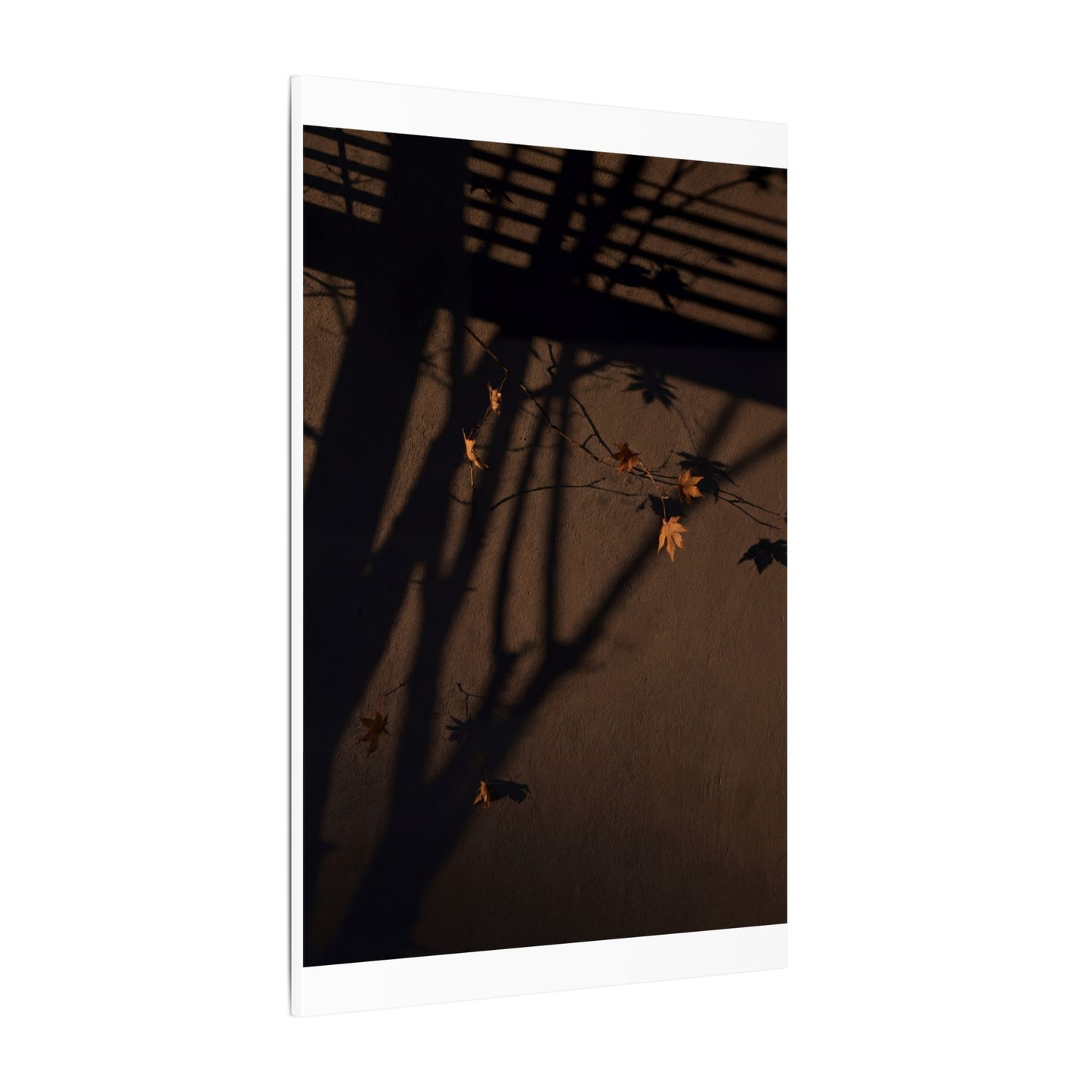 Shadow Play Autumn Canvas Art | Dark Japandi Luxurious Design