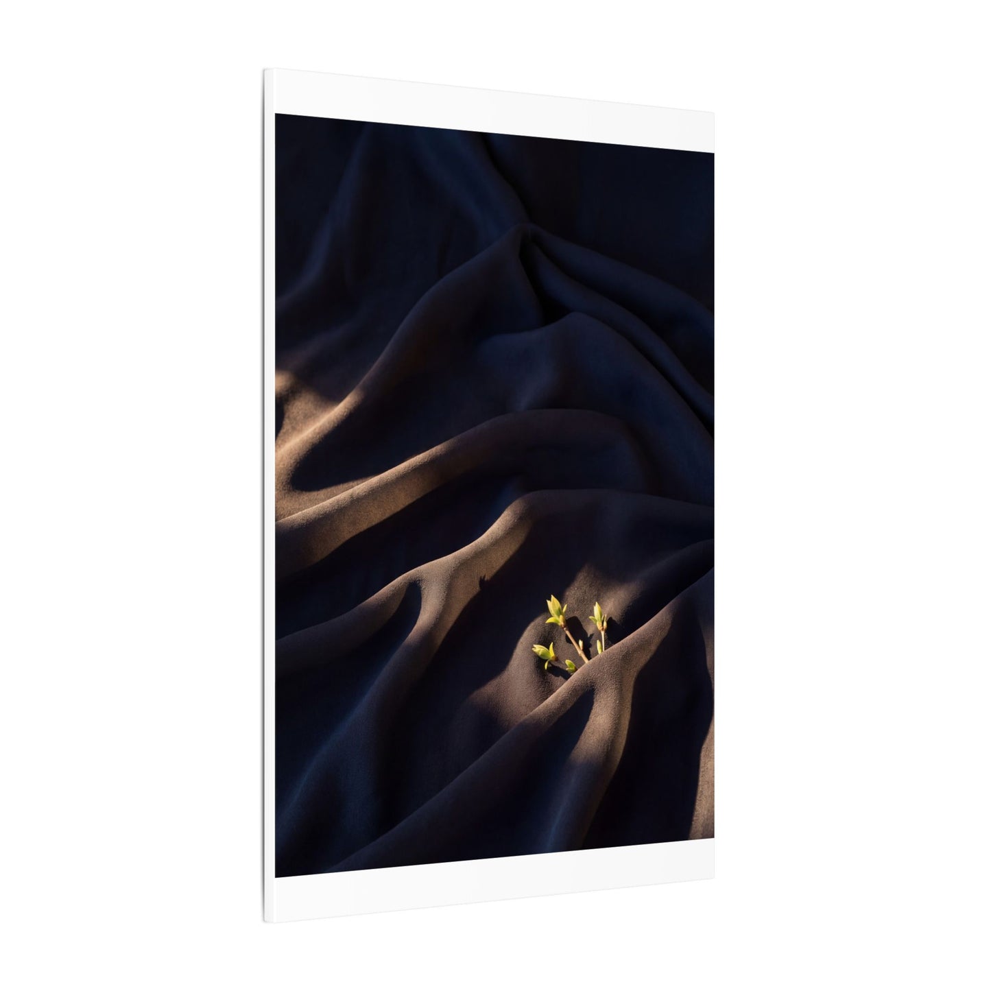 Silk Drape Shadow Zen Canvas Art | Luxurious Dark Japandi Art