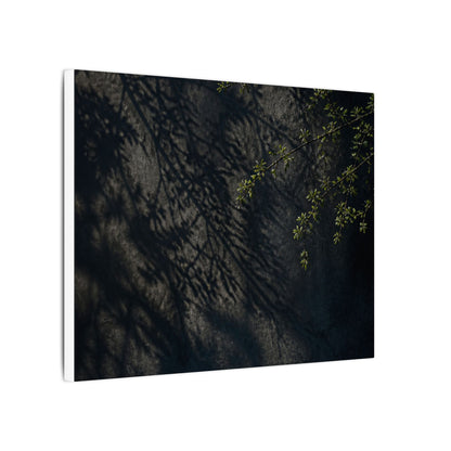 Overcast Shadow Play Canvas Art - Dark Japandi Seijaku