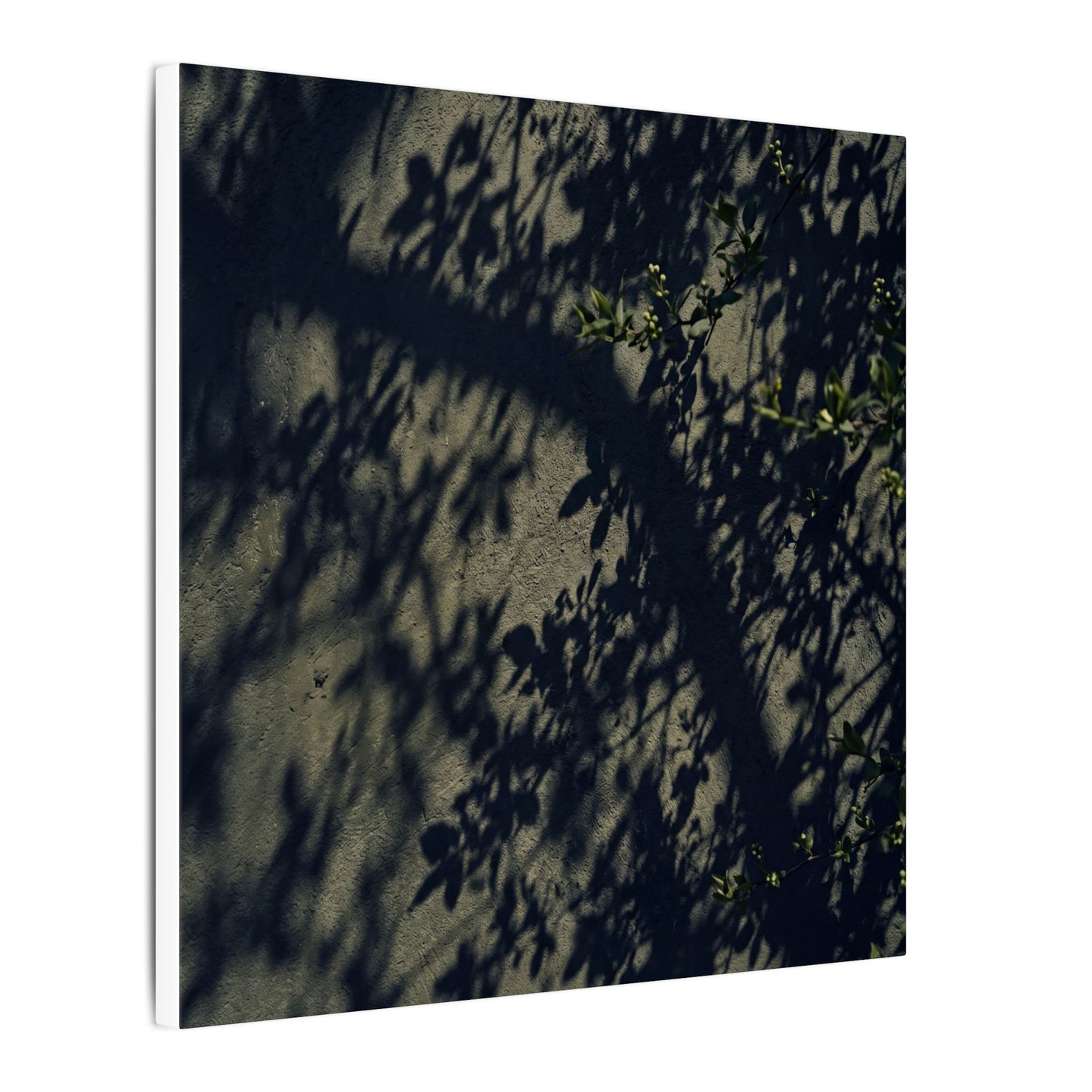 Atmospheric Shadow Play Canvas Art - Moody Minimal Dark Japandi