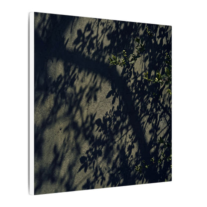 Atmospheric Shadow Play Canvas Art - Moody Minimal Dark Japandi