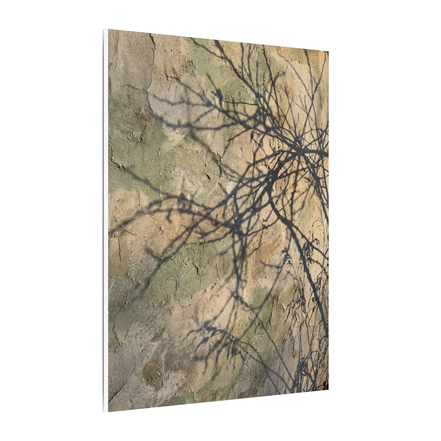 Japandi Shadow Play in Golden Hour | Texture Canvas Art