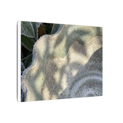 Dappled Ceramic Bowl Canvas Art - Japandi Seijaku