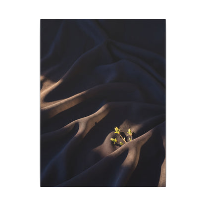 Silk Drape Shadow Zen Canvas Art | Luxurious Dark Japandi Art