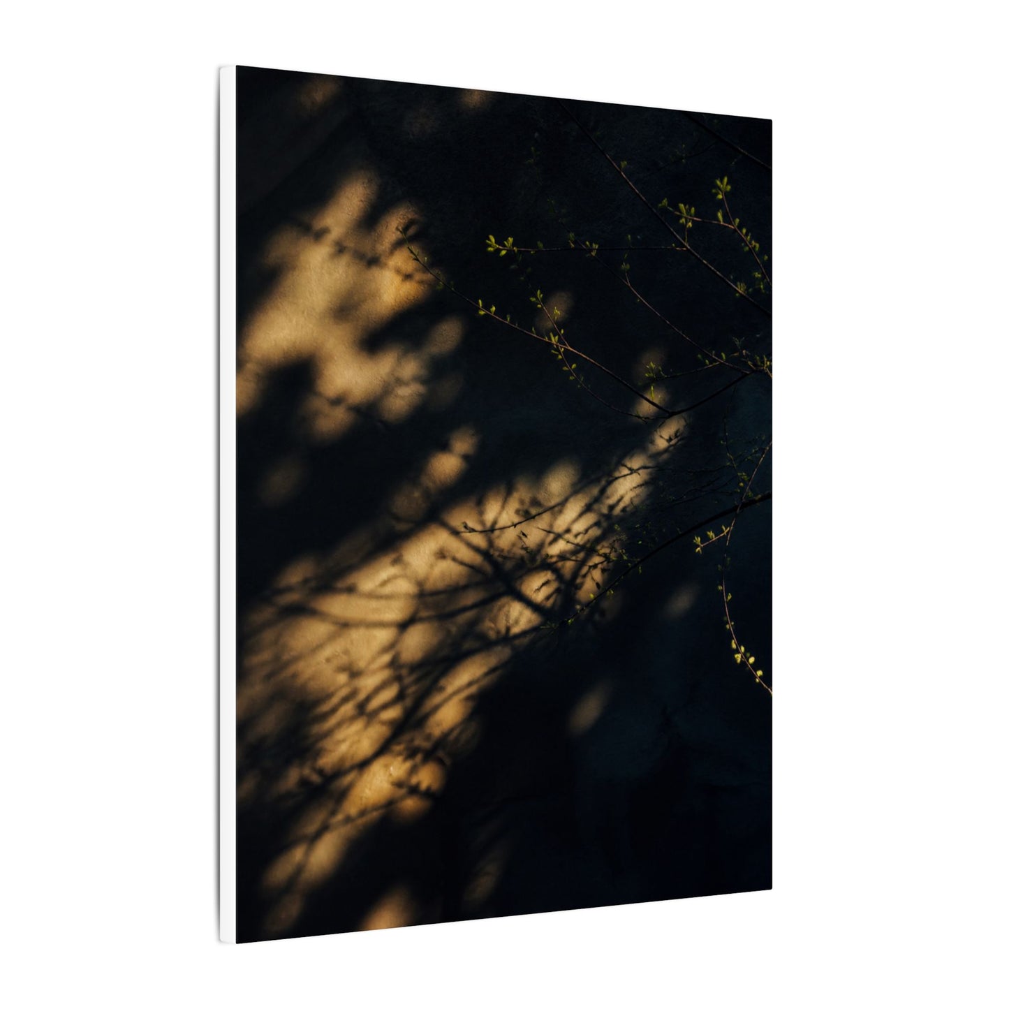 Moody Shadow Play Canvas Art - Moody Minimal Dark Japandi