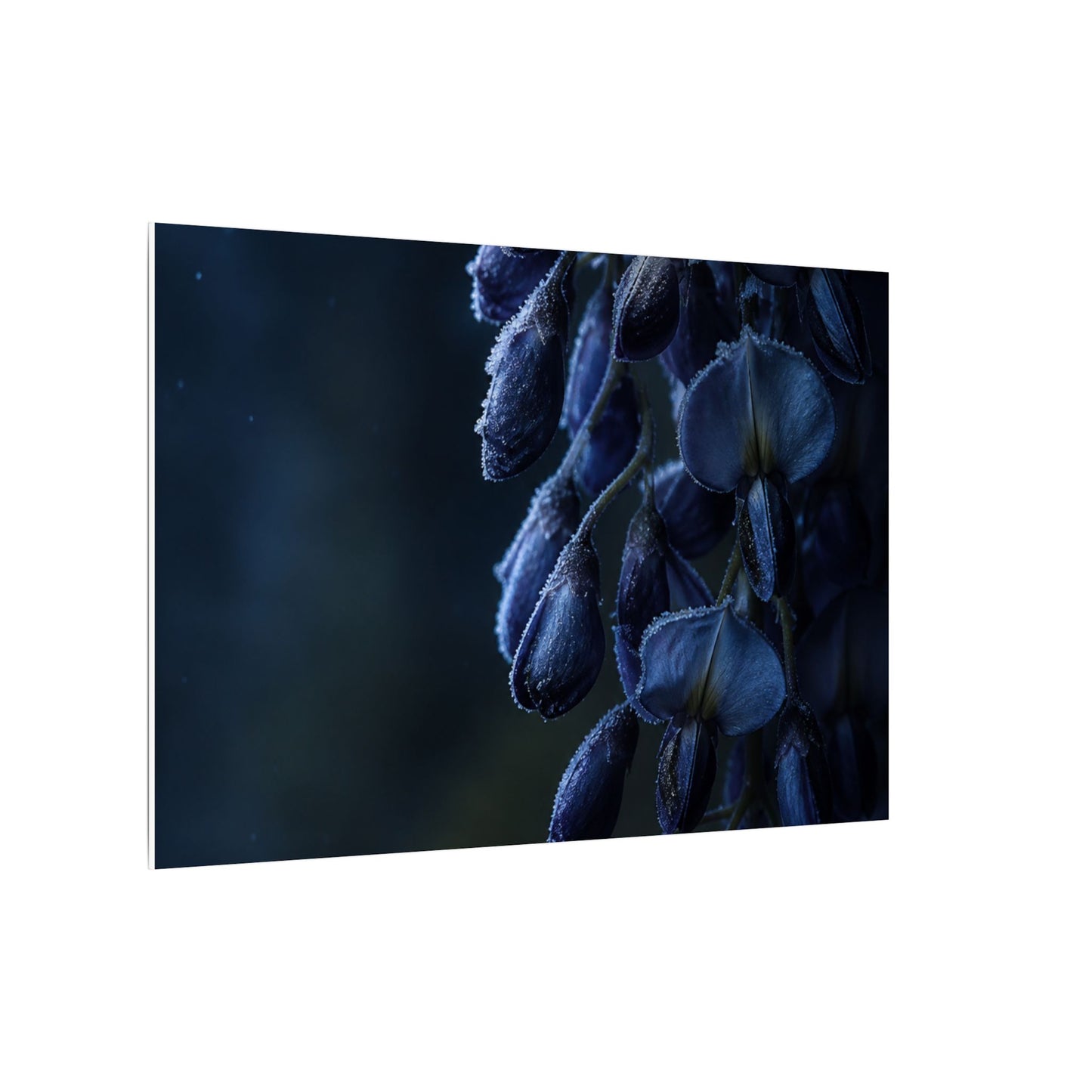 Winter Wisteria Shadow Zen Canvas Art | Atmospheric Decor
