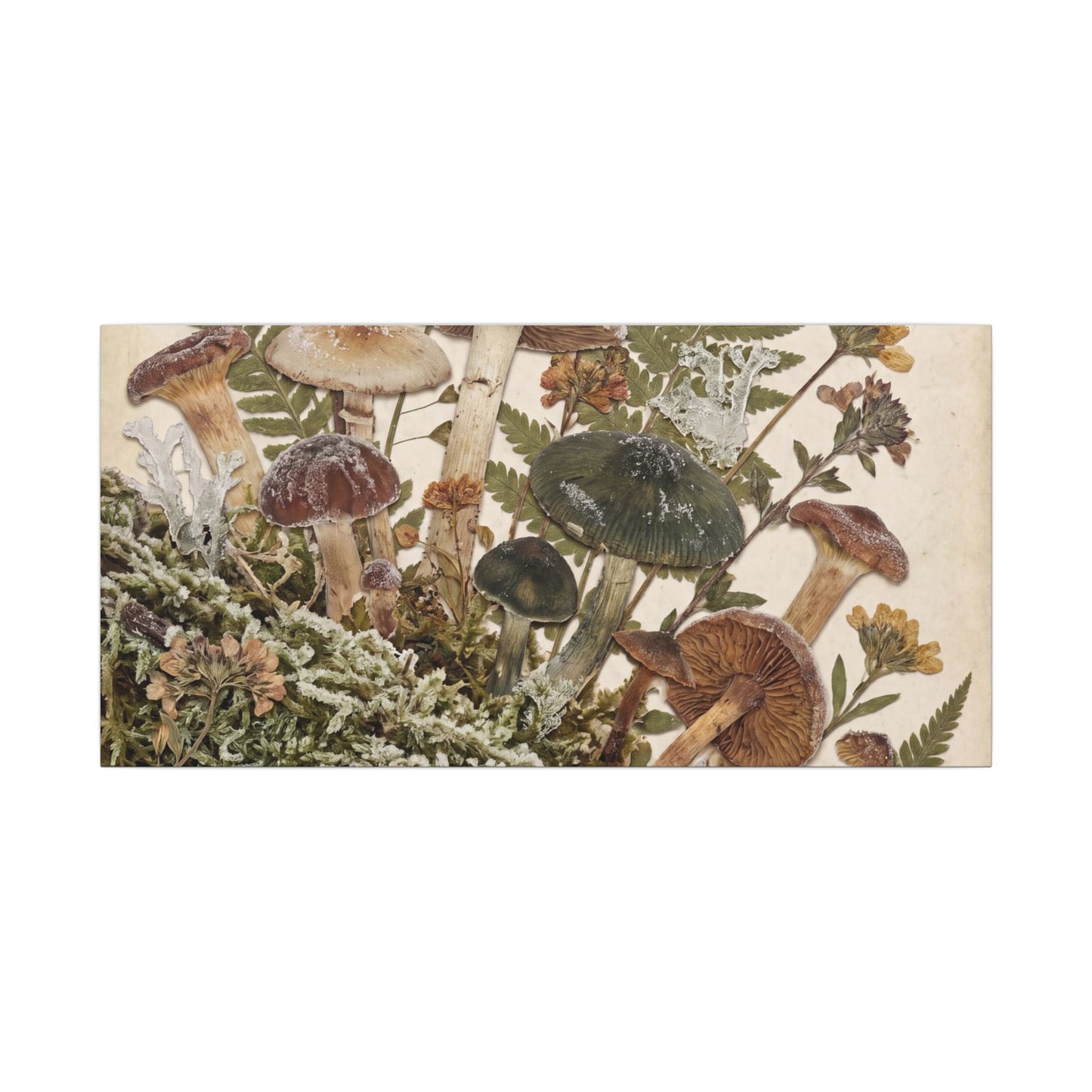 Winter Wild Mushrooms Herbarium Canvas Art | Enchanting Decor