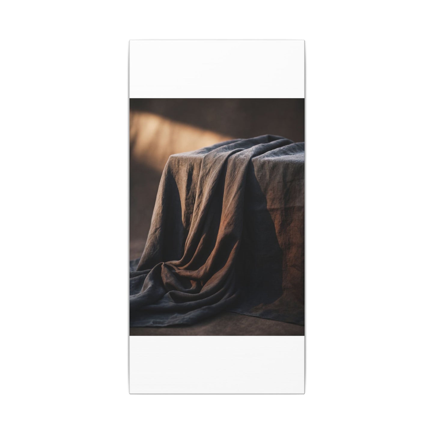Silk Drape Canvas Art | Winter Dark Japandi Shadow Zen Art