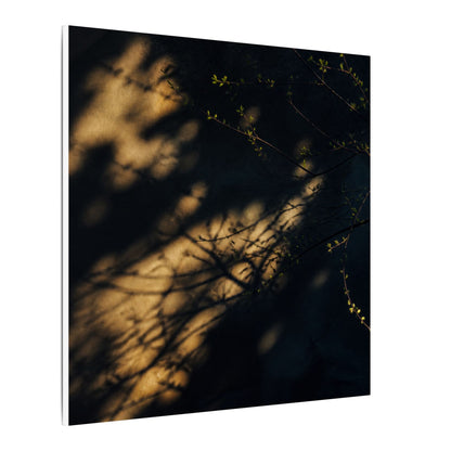 Moody Shadow Play Canvas Art - Moody Minimal Dark Japandi