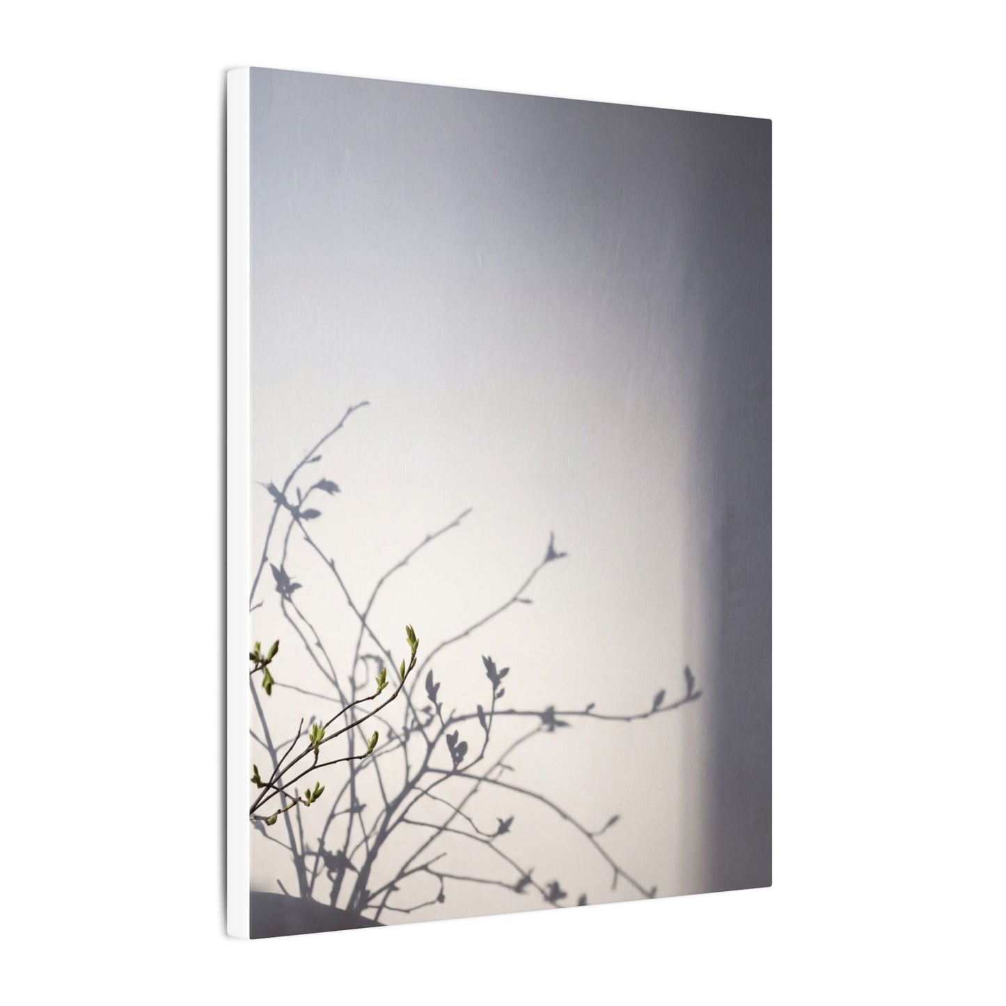 Japandi Shadow Play in Dawn | Japanese Pattern Canvas Art