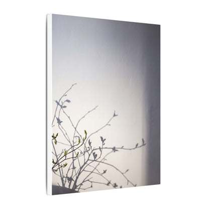 Japandi Shadow Play in Dawn | Japanese Pattern Canvas Art