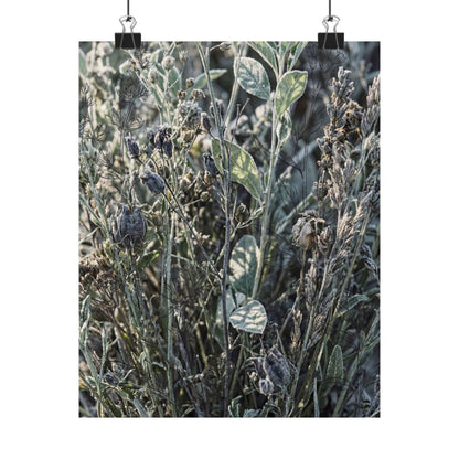 Dried Flowers Winter Wall Art Print | Japandi Neutral Design Art Print