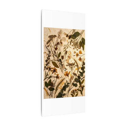 Dried Flowers Summer Canvas Art | Japandi Neutral Design