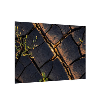 Kintsugi Cracked Earth in Golden Hour | Gold Vein Canvas Art