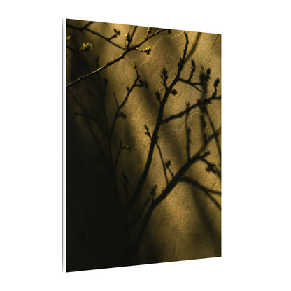 Golden Hour Shadow Play Canvas Art - Dark Japandi Seijaku