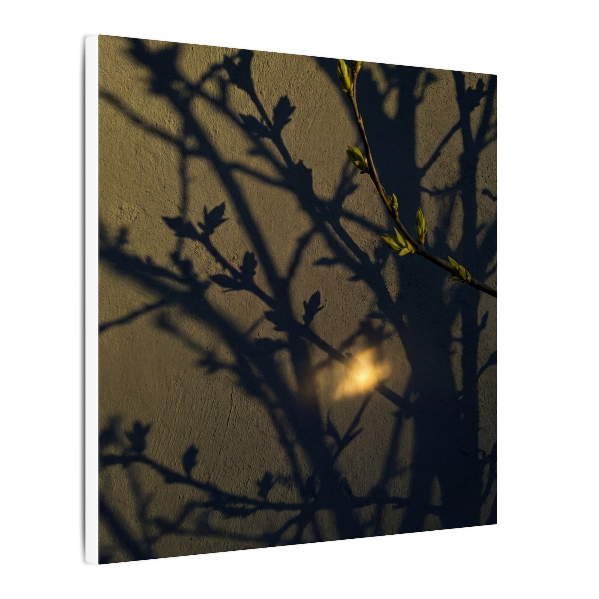 Bold Shadow Play Canvas Art - Moody Minimal Dark Japandi Art Print