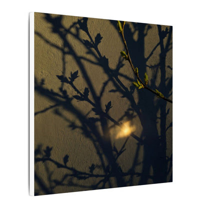 Bold Shadow Play Canvas Art - Moody Minimal Dark Japandi Art Print