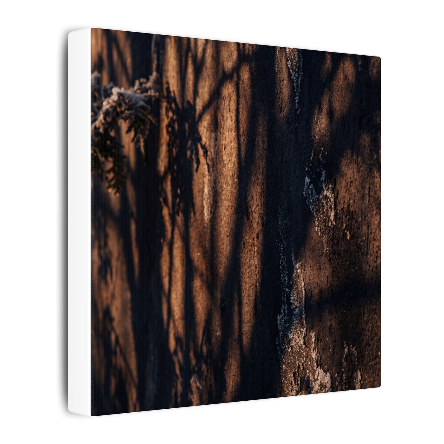 Golden Hour Shadow Play Canvas Art - Dark Japandi Fukinsei