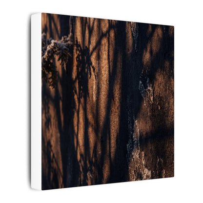 Golden Hour Shadow Play Canvas Art - Dark Japandi Fukinsei
