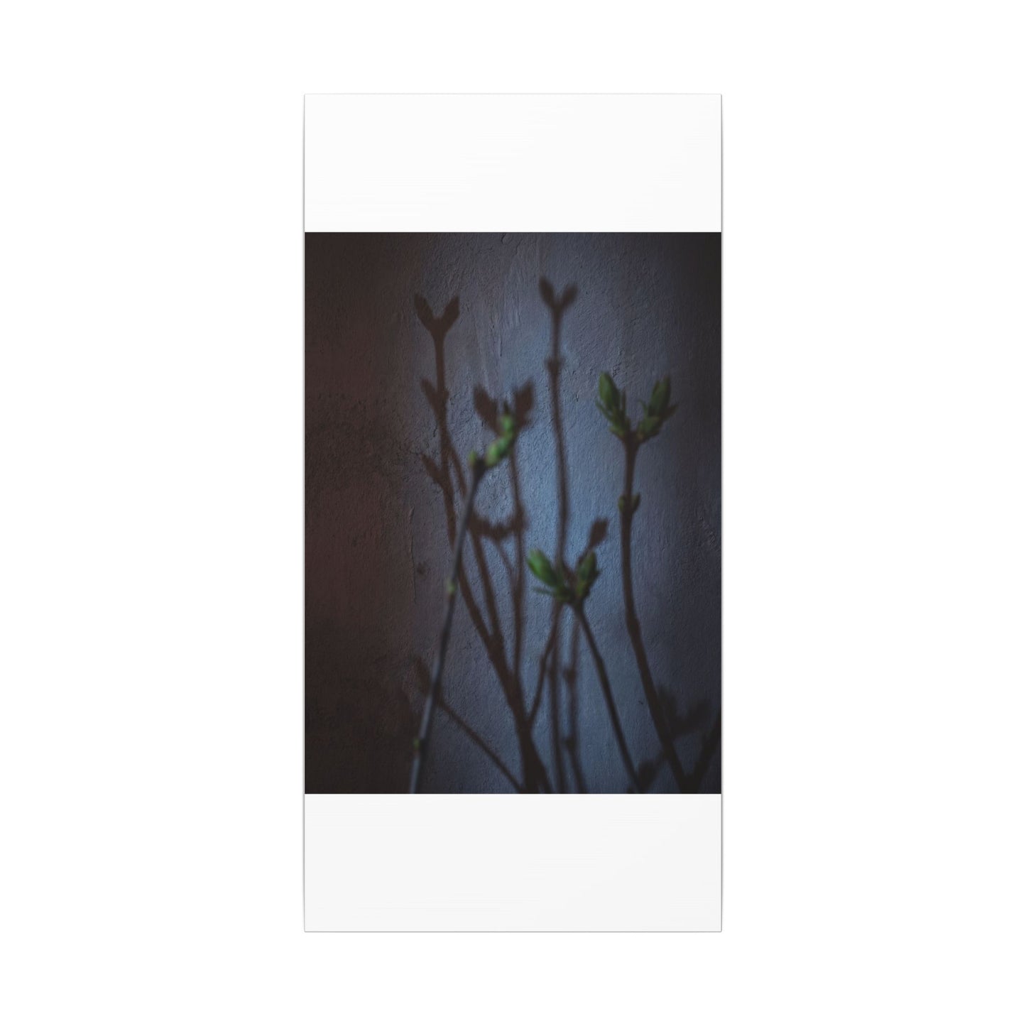 Shadow Play Spring Canvas Art | Dark Japandi Sophisticated Design