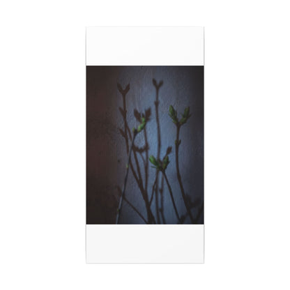 Shadow Play Spring Canvas Art | Dark Japandi Sophisticated Design