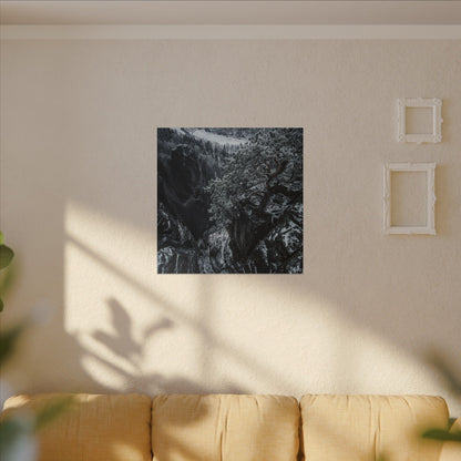 Dark Japandi Pine Tree in Dappled | Dark Texture Canvas Art