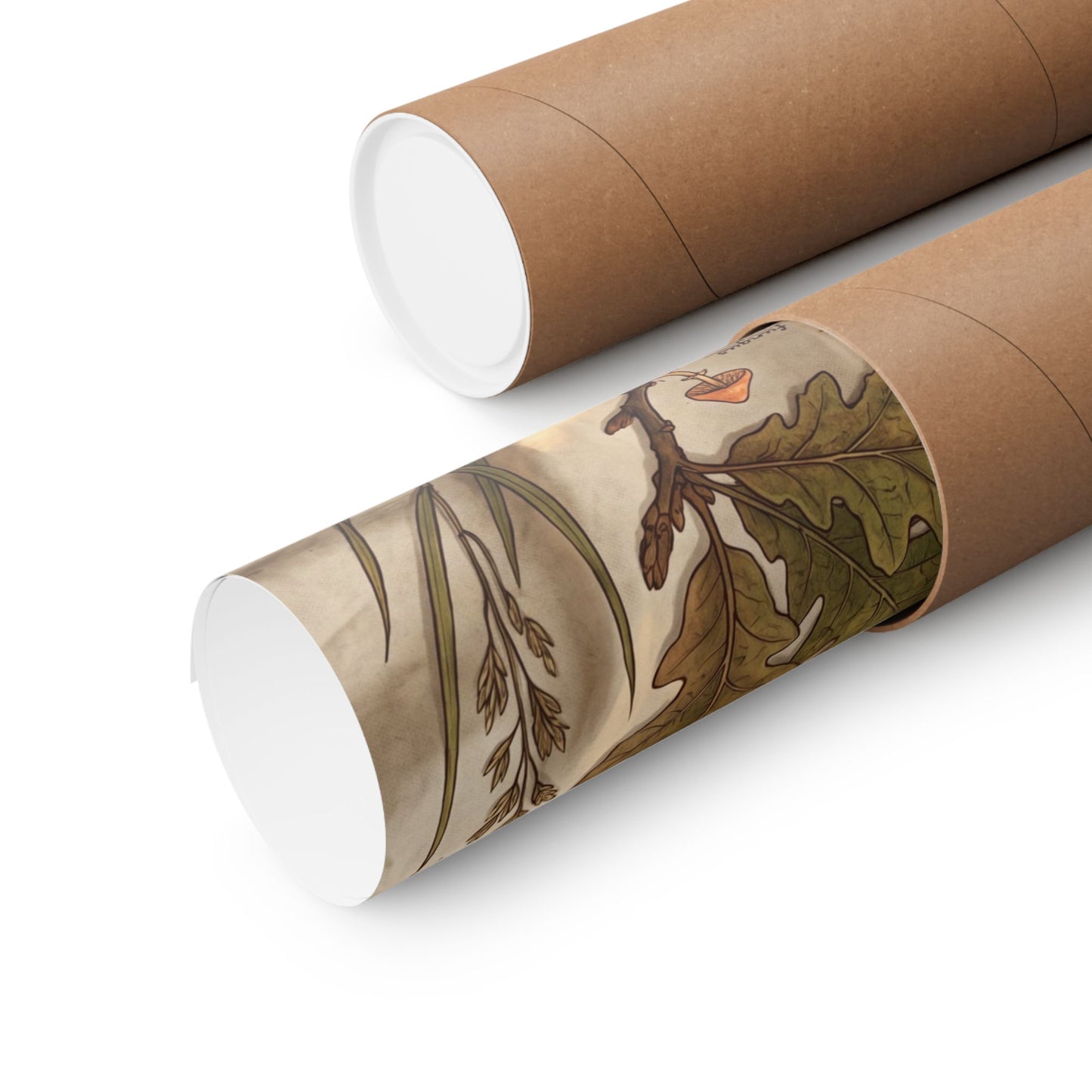 Spring Silk Drape Herbarium Wall Art Print | Nostalgic Decor