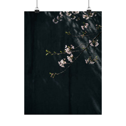 Cherry Blossom Wall Art Print | Spring Dark Japandi Moody Minimal Art Art Print