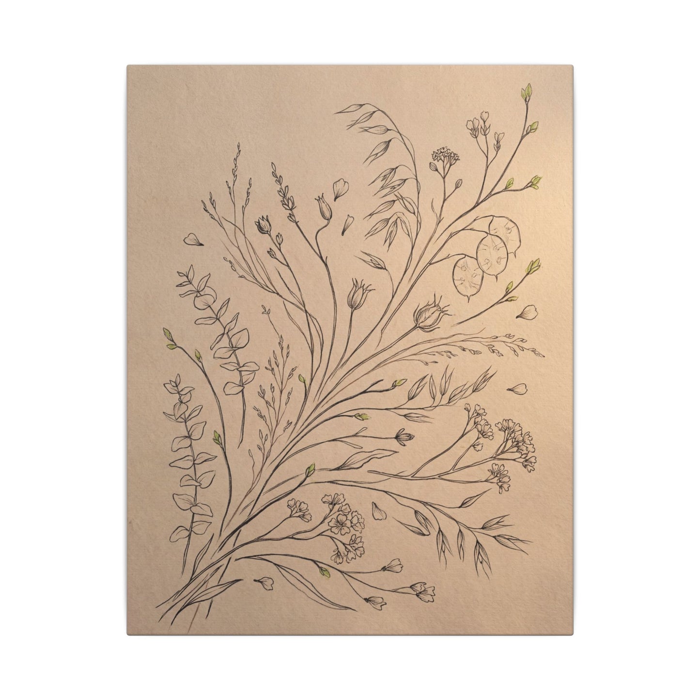 Dried Flowers Canvas Art | Spring Japandi Minimal Line Art