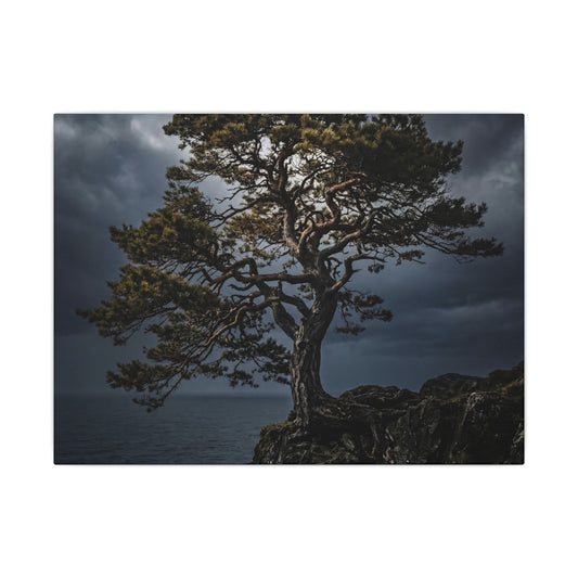 Dappled Pine Tree Canvas Art - Dark Japandi Fukinsei Art Print